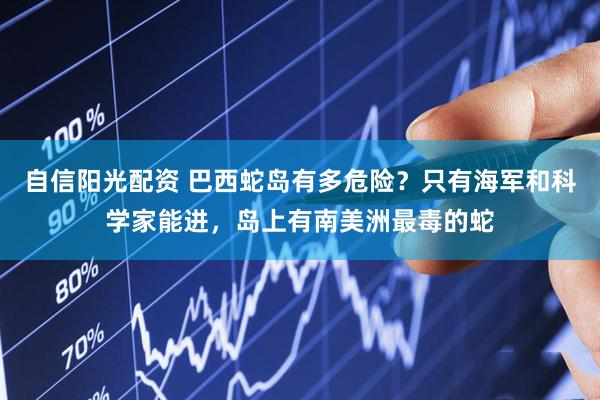 自信阳光配资 巴西蛇岛有多危险？只有海军和科学家能进，岛上有南美洲最毒的蛇